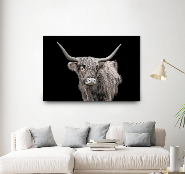 \"A New Kid In Town\" Canvas Framed Black 36x24 Wall Art