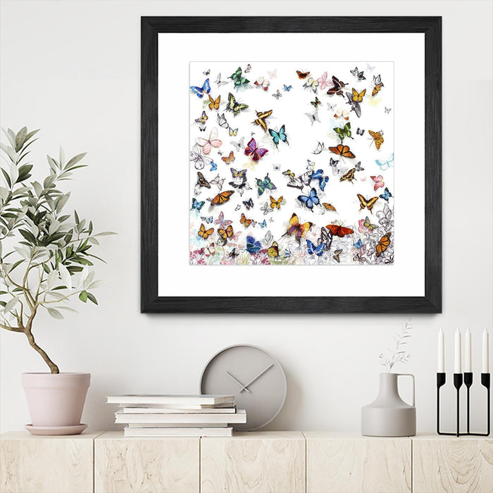 \"Papillon\" Matted and Framed Black 36x36 Wall Art