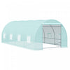 Outsunny 20x10x7ft Heavy Duty Walk-in Greenhouse Outdoor Backyard Seed Plant Vegetables Growing Warm