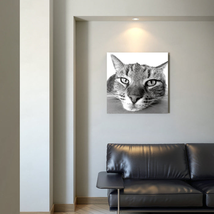 Modif Wall Art