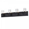 Dainolite Veronica 4 Light Vanity Light Matte Black Clear Glass Lamp