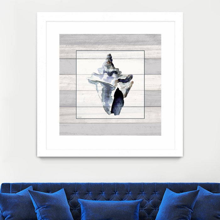 \"Muted Blue Sea Conch On Wood\" Matted and Framed White 36x36 Wall Art