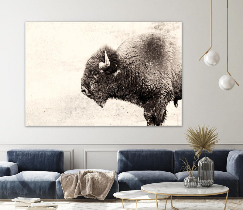 \"Buffalo\" Giant Art 72x48 Wall Art