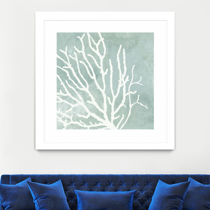 \"Sea Crown I\" Matted and Framed White 30x30 Wall Art