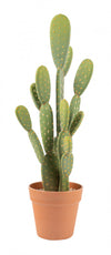 Artificial 21\" Bunny Ears Cactus In Terracotta Pot 