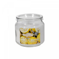 11 Oz Scented Jar with Pvc Lid Citrus Ginger - Set of 2 Candle