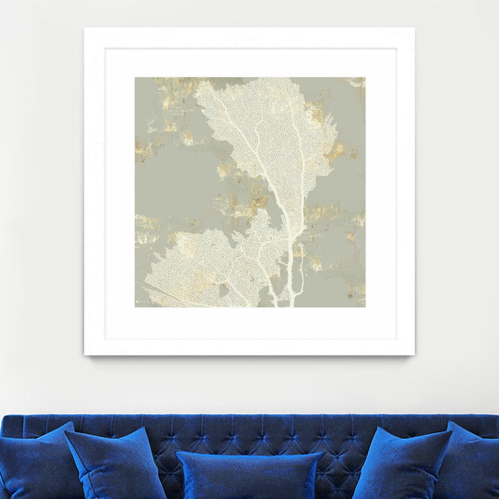 \"Sea Coral Ii\" Matted and Framed White 36x36 Wall Art