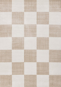 Covington Modern Checkered Indoor Area Rug - 2'8