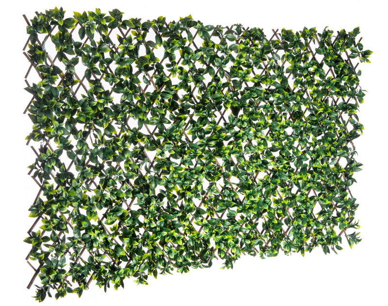 Artificial Willow Expandable Trellis 36\"x 72\" Gardenia Leaves 