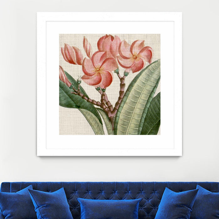 \"Cropped Turpin Tropicals Vii\" Matted and Framed White 36x36 Wall Art