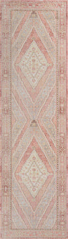 Poppy Traditional 2'7\" x 8'0\" Runner Rug in Pink Indoor Area Rug 