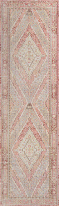 Poppy Traditional 2'7\" x 8'0\" Runner Rug in Pink Indoor Area Rug 