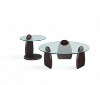 Artesia Modern Glam 2-Piece Coffee Table & End Table Set in Walnut 