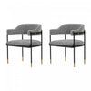 Lia Modern Metal Chenille Armchair in Gray - Set of 2 Dining Chair 
