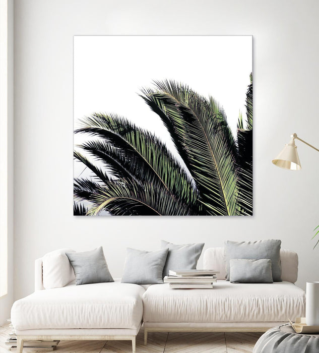 \"Cape Storm\" Giant Art 54x54 Wall Art