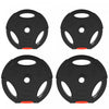 Soozier Set Of 4 1-inch Weight Plates With 3 Grips, 2 X 22lbs + 2 X 11lbs