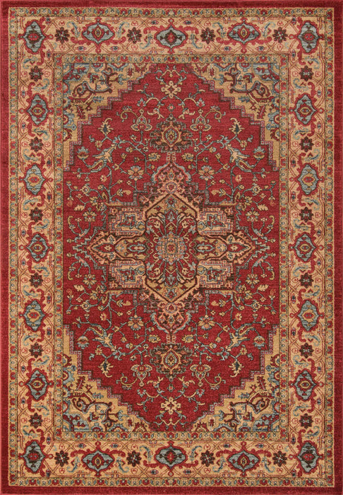 Elara Traditional 9'3\" x 12'6\" Area Rug in Red Indoor Area Rug 
