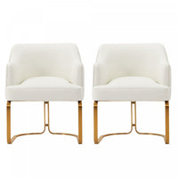 Raya Modern Wood Vegan Leather Dining Chair in Ivory - Set of 2 