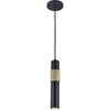Dainolite Passwell 1 Light Pendant Matte Black/Aged Brass Lamp