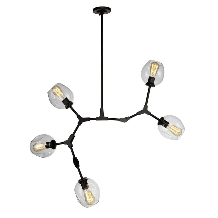 Organic 5-Light Chandelier I 