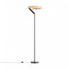 63\"  Matte Black Modern LED Floor Lamp 
