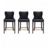 Blair Modern Wood Upholstered Counter Stool in Black - Set of 3 Bar Stool 