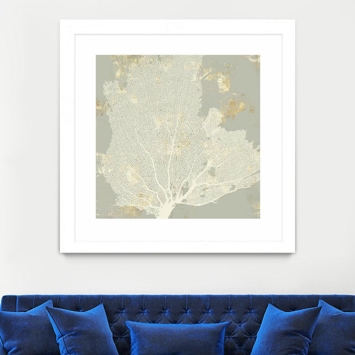 \"Sea Coral I\" Matted and Framed White 30x30 Wall Art