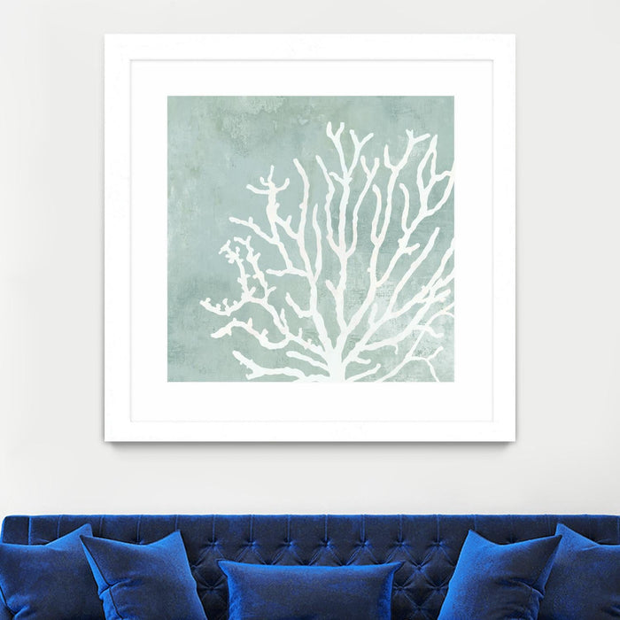 \"Sea Crown Ii\" Matted and Framed White 36x36 Wall Art