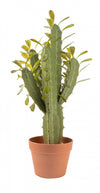 Artificial 25\" Candelabra Cactus In Terracotta Pot 