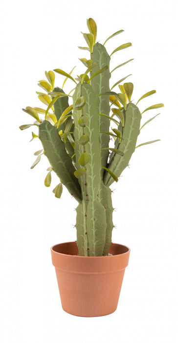 Artificial 25\" Candelabra Cactus In Terracotta Pot 