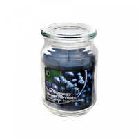 18 Oz Scented Jar with Glass Lid Wild Blueberry - Set of 2 Candle