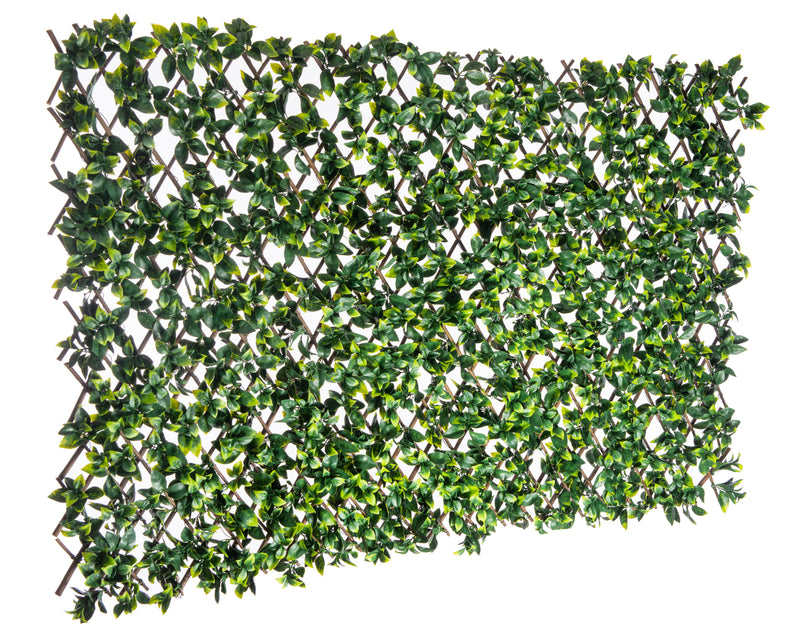 Willow Expandable Gardenia Trellis - 40\" x 80\" 