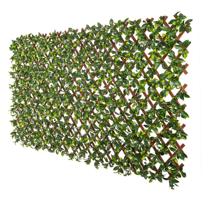 PVC Expandable Trellis 36\"x 72\" Gardenia Leaves 