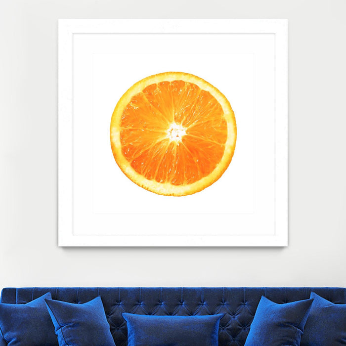 \"Citrus Cultivar\" Matted and Framed White 30x30 Wall Art