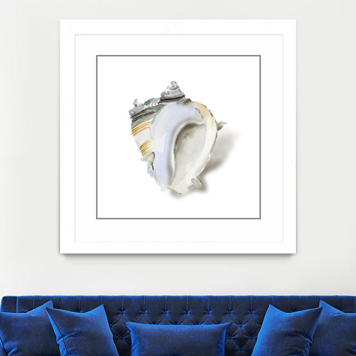 \"Seafoam Shell\" Matted and Framed White 30x30 Wall Art