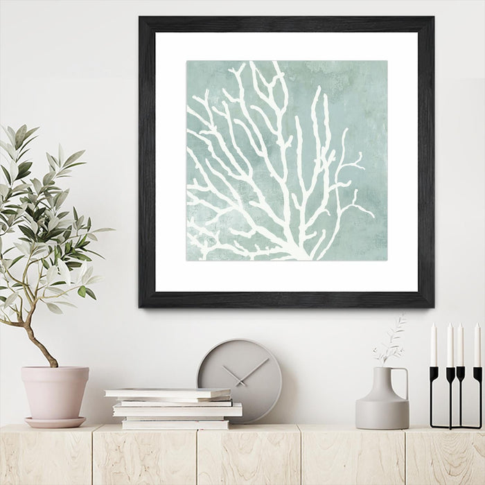 \"Sea Crown I\" Matted and Framed Black 36x36 Wall Art