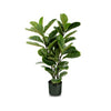 Artificial 35\" Fiddle Leaf Indoor & Outdoor In Black Pot 
