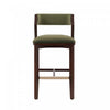 Patricia Modern Wood Upholstered Barstool in Turtle Green Bar Stool 