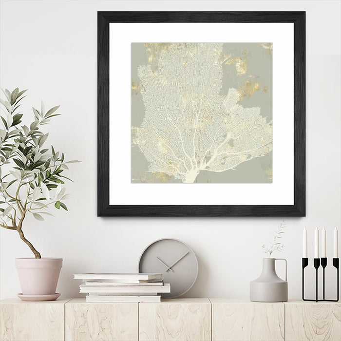 \"Sea Coral I\" Matted and Framed Black 36x36 Wall Art