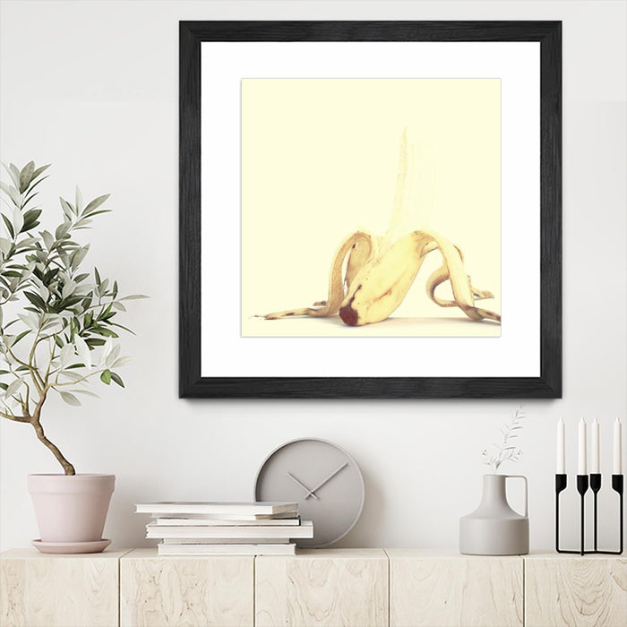 \"Banada Honey Puff\" Matted and Framed Black 36x36 Wall Art