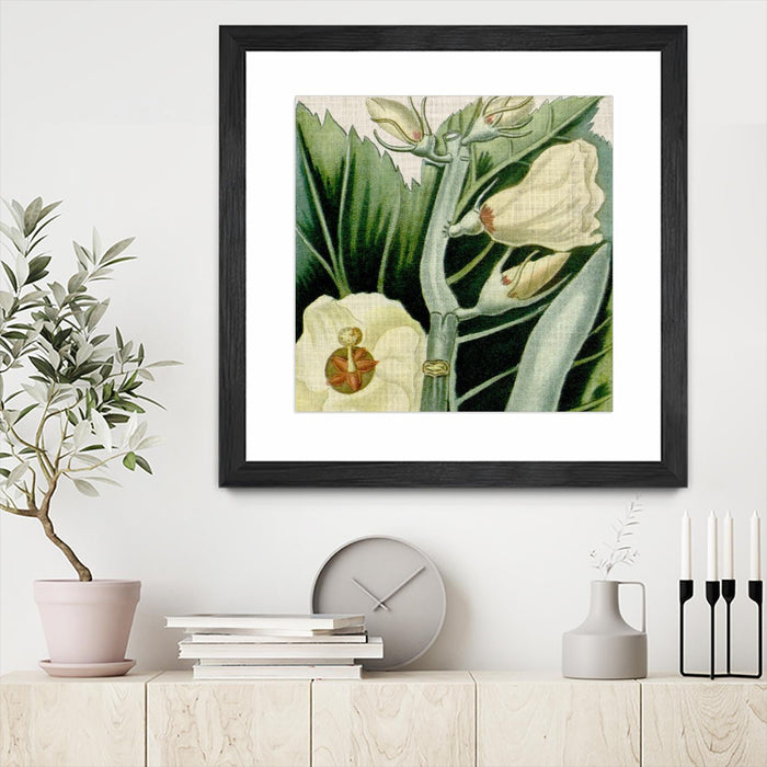 \"Cropped Turpin Tropicals Iii\" Matted and Framed Black 30x30 Wall Art