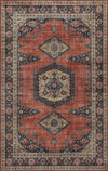 Tracy Traditional 6'0\" x 9'0\" Area Rug in Orange Indoor Area Rug 