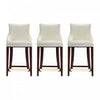 Shubert Modern Wood Upholstered Counter Stool in Ivory - Set of 3 