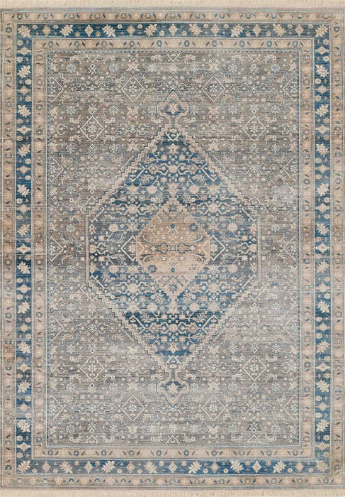 Lucia Traditional 9'0\" x 12'0\" Area Rug in Blue Indoor Area Rug 