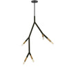 Dainolite Morgan 5 Light Pendant Matte Black/Aged Brass Finish Lamp