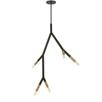 Dainolite Morgan 5 Light Pendant Matte Black/Aged Brass Finish Lamp