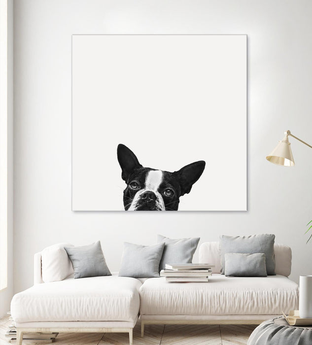 \"Loyalty\" Giant Art 54x54 Wall Art