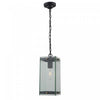 Bradgate 1-Light Outdoor Pendant II 