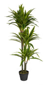 Artificial 47\" Dracaena In Black Pot 