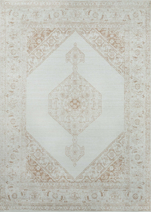 Maude Traditional 7'10\" x 10'6\" Area Rug in Brown Indoor Area Rug 